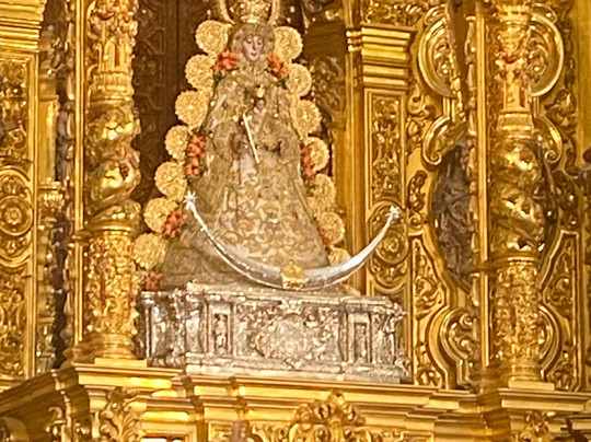 ON Acebuchal 23主图