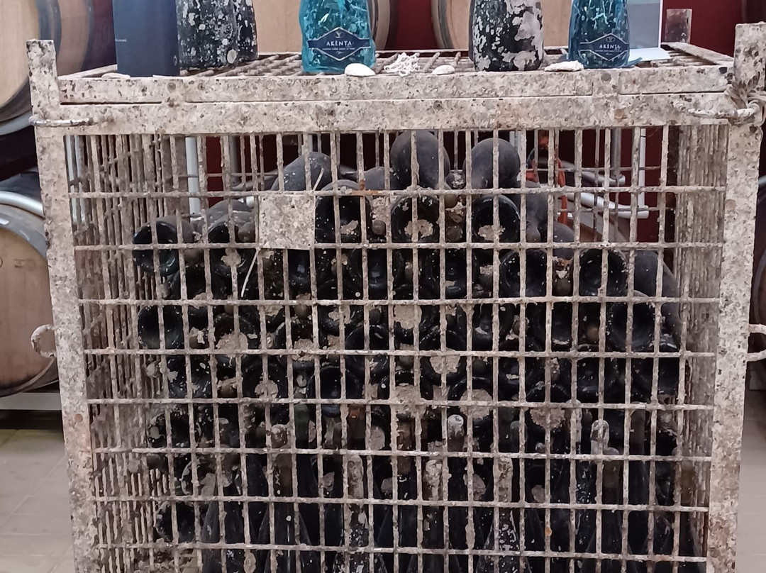 Cantina Santa Maria La Palma-阿尔盖罗必去景点