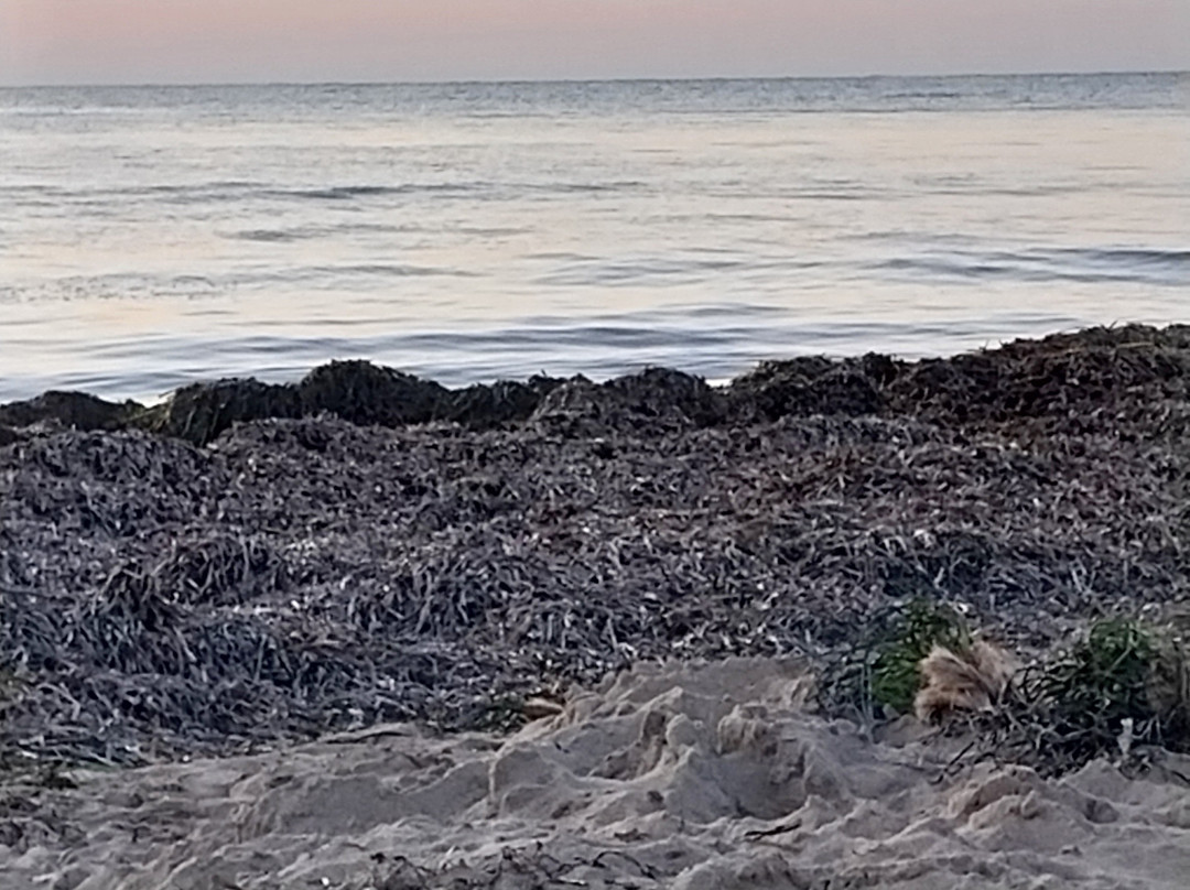 Playa Els Molins-德尼亚必去景点