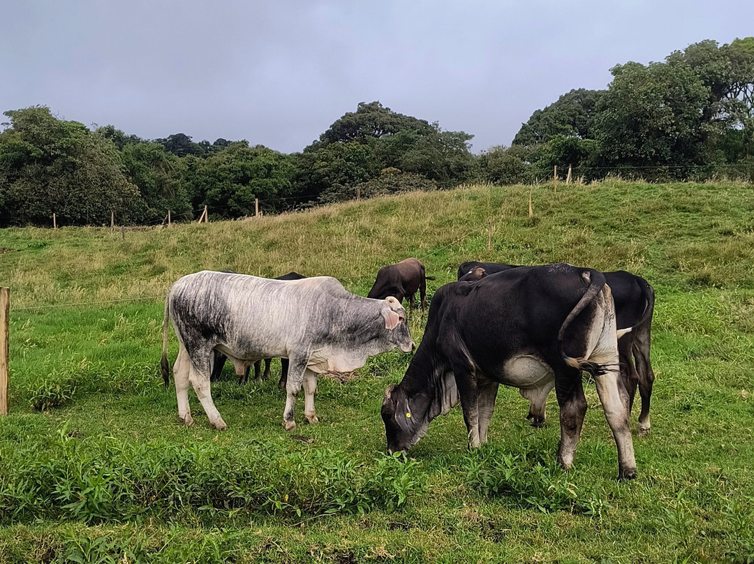 Escape Poasito-Poasito必去景点