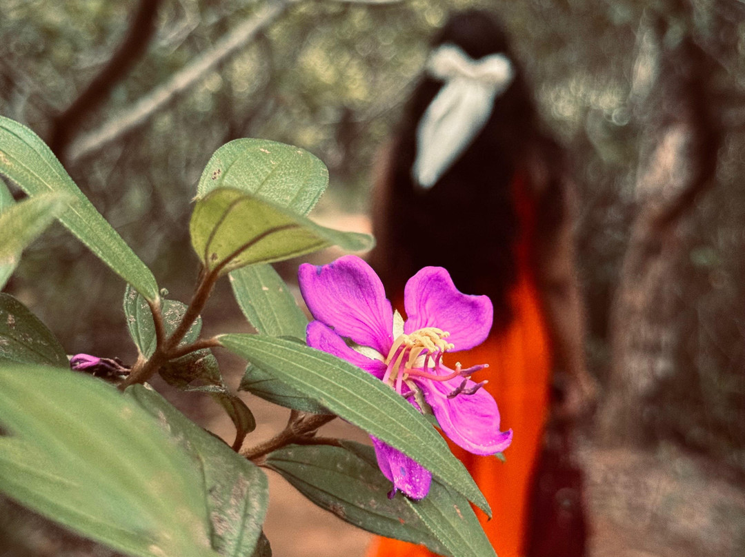 Beddegana Wetland Park-斯里贾亚瓦德纳普拉必去景点