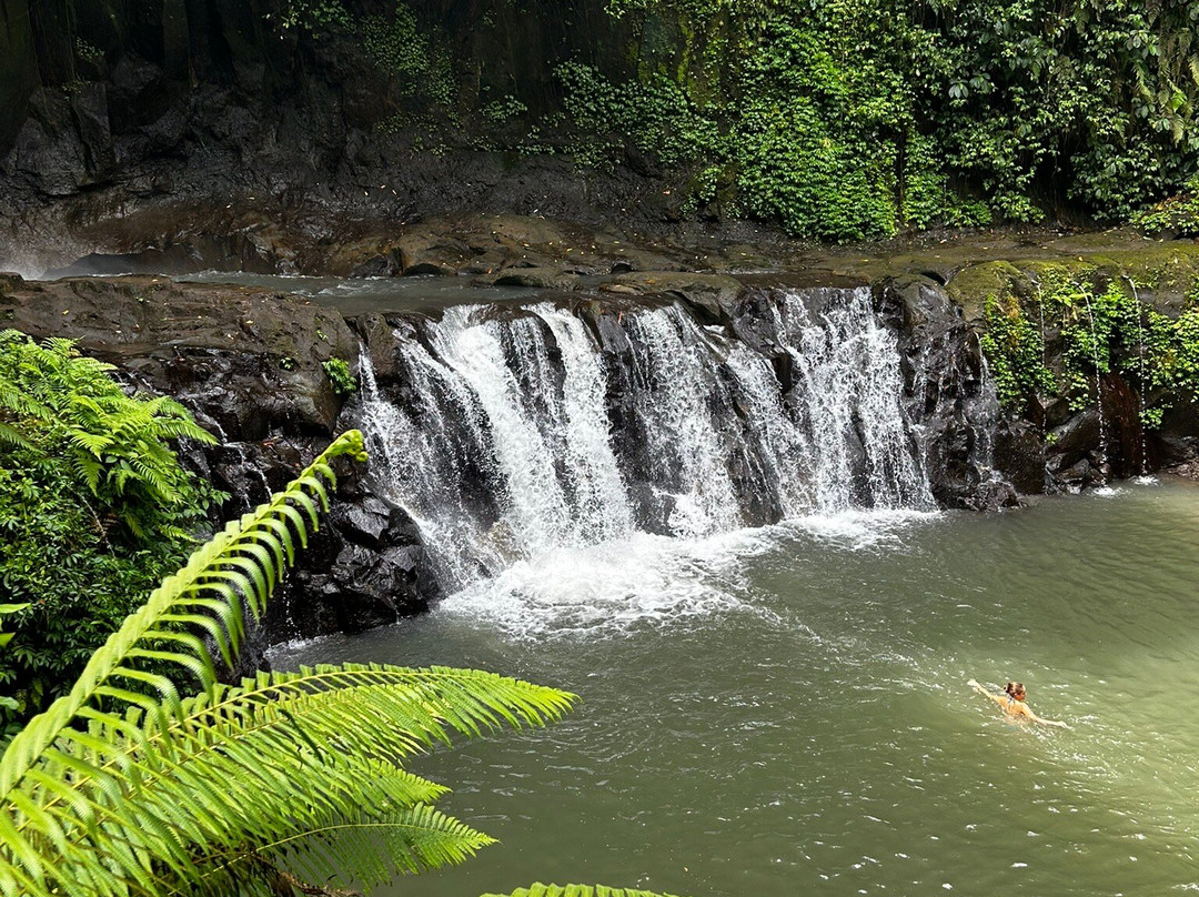 巴厘岛生态游-乌布必去景点