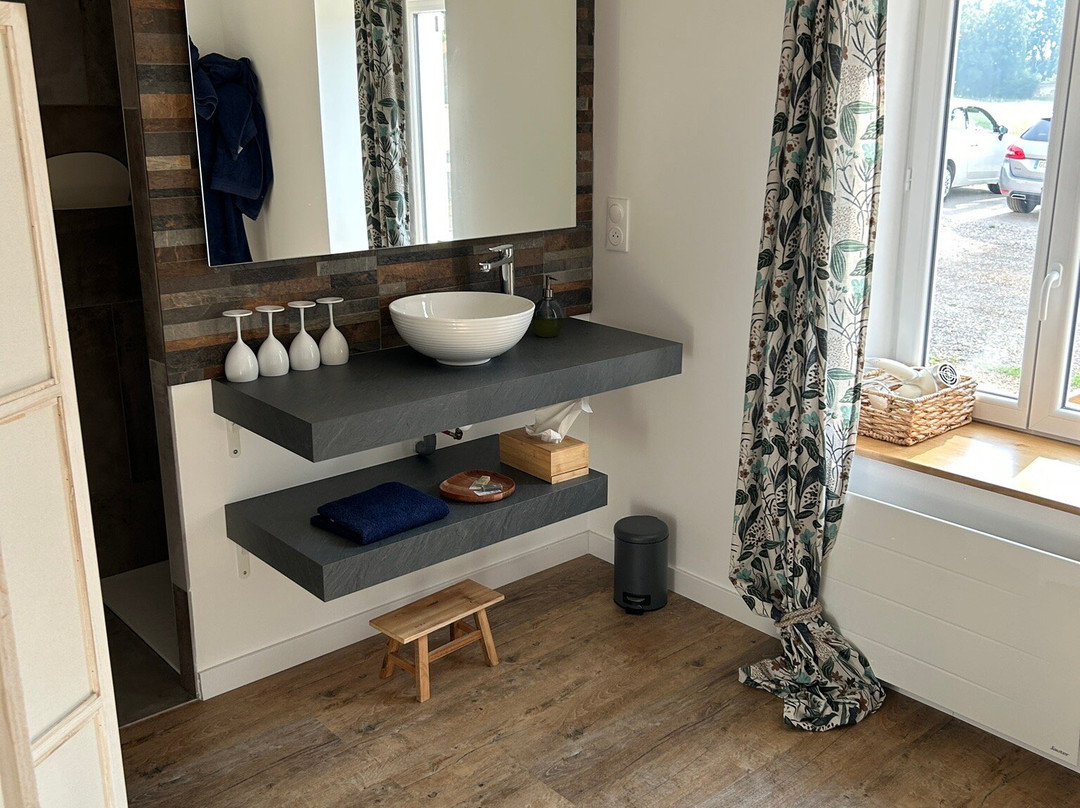 La Doloréanne主图