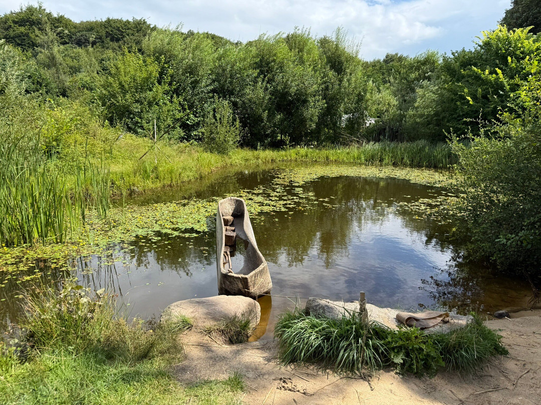 Steinzeitpark Dithmarschen-Albersdorf必去景点