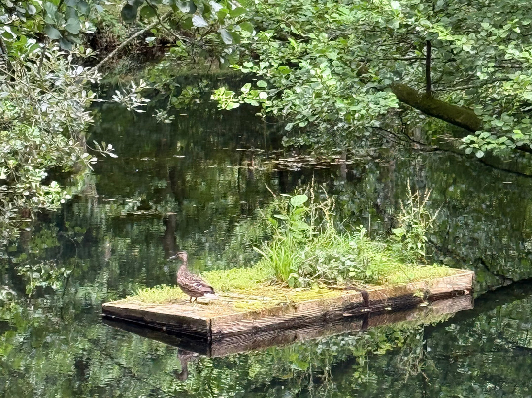 Turtley Corn Mill主图