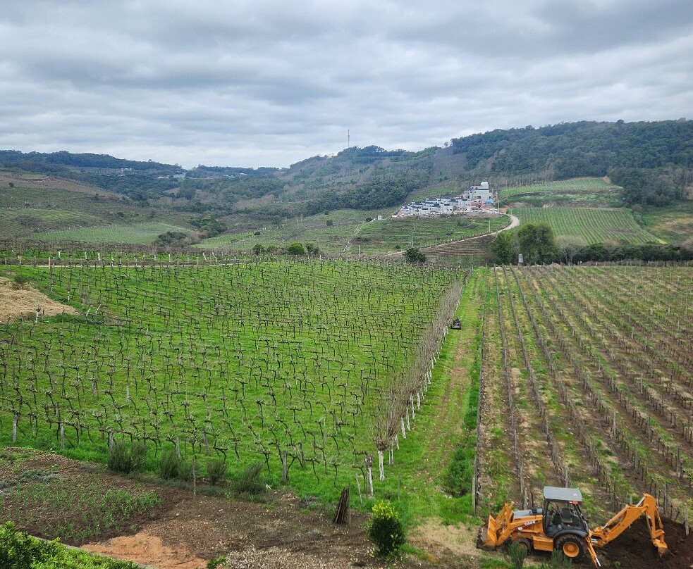 Torrontes Enoturismo-Garibaldi必去景点