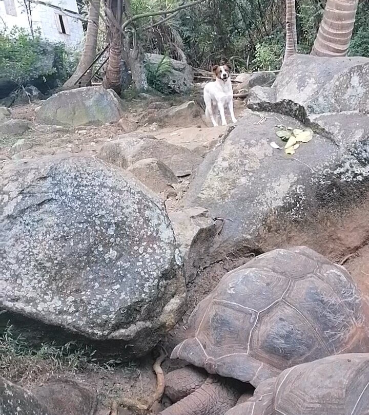 Rocco Locco Boat Charter & Tour-伊甸岛必去景点