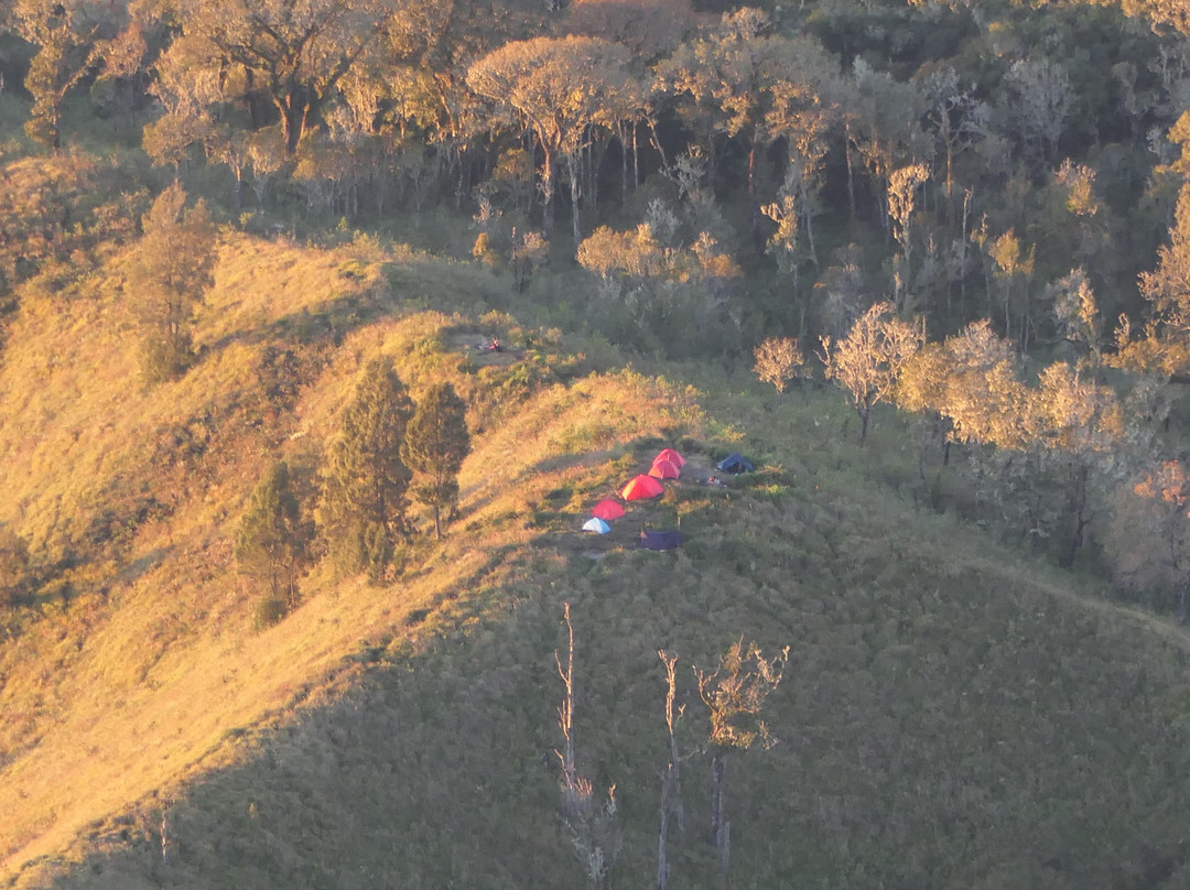 Jaya Trekker-Tetebatu必去景点