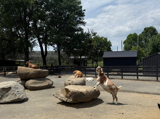 Nova Wild-维也纳必去景点