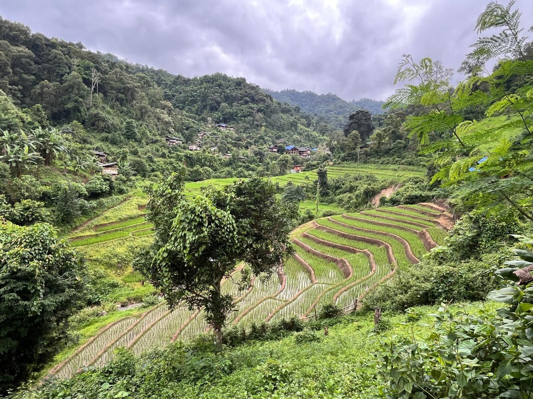 Mike's Authentic Trekking-清迈必去景点