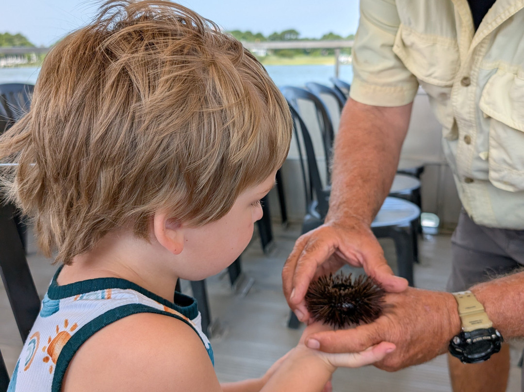 Assateague Adventure-大洋城必去景点