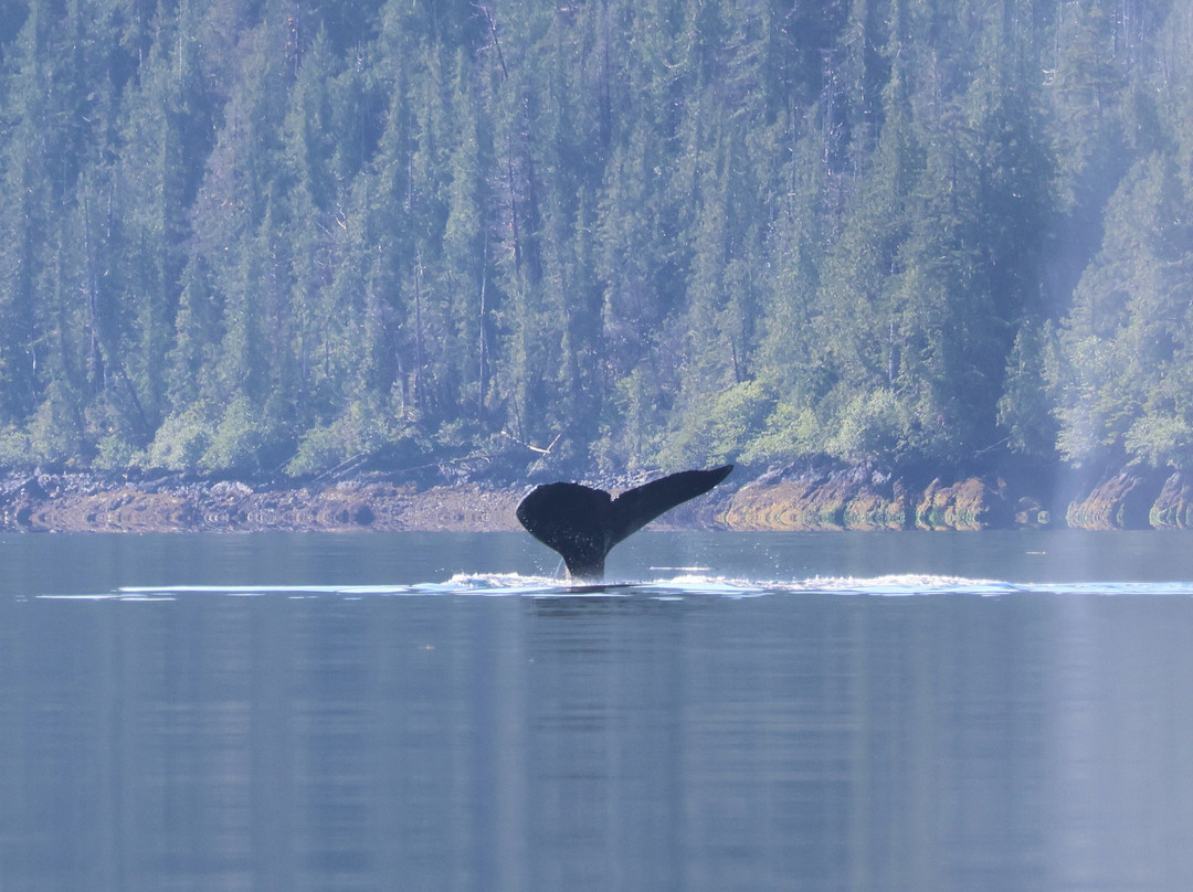 Gwaii Haanas National Park-Daajing Giids必去景点