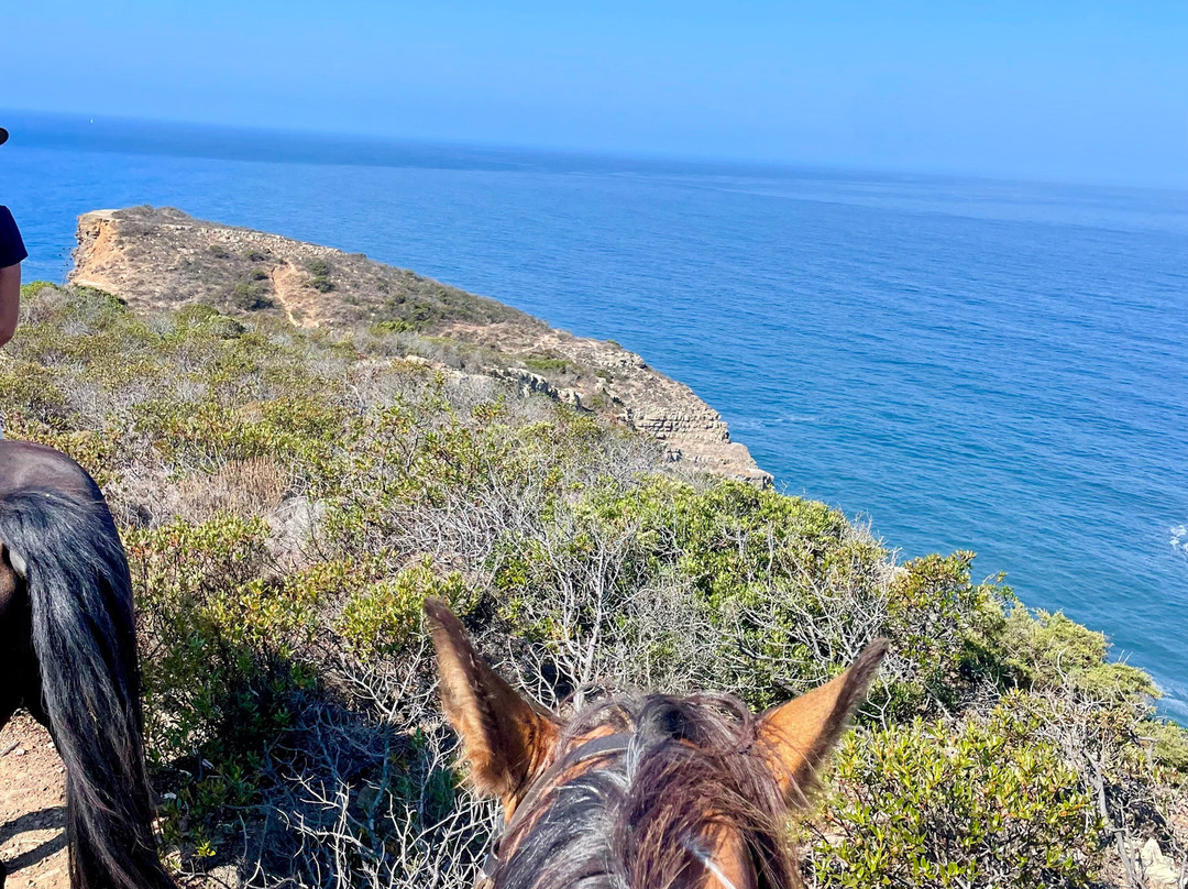 Horse Adventure Tours-Aljezur必去景点