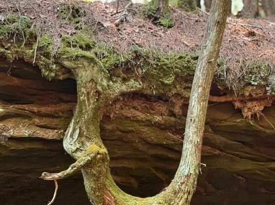 Houghton Falls Nature Preserve-Washburn必去景点