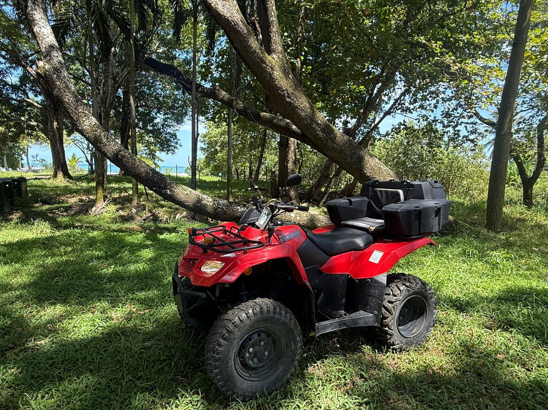 ATV Rentals  Santa Teresa-圣特雷莎必去景点