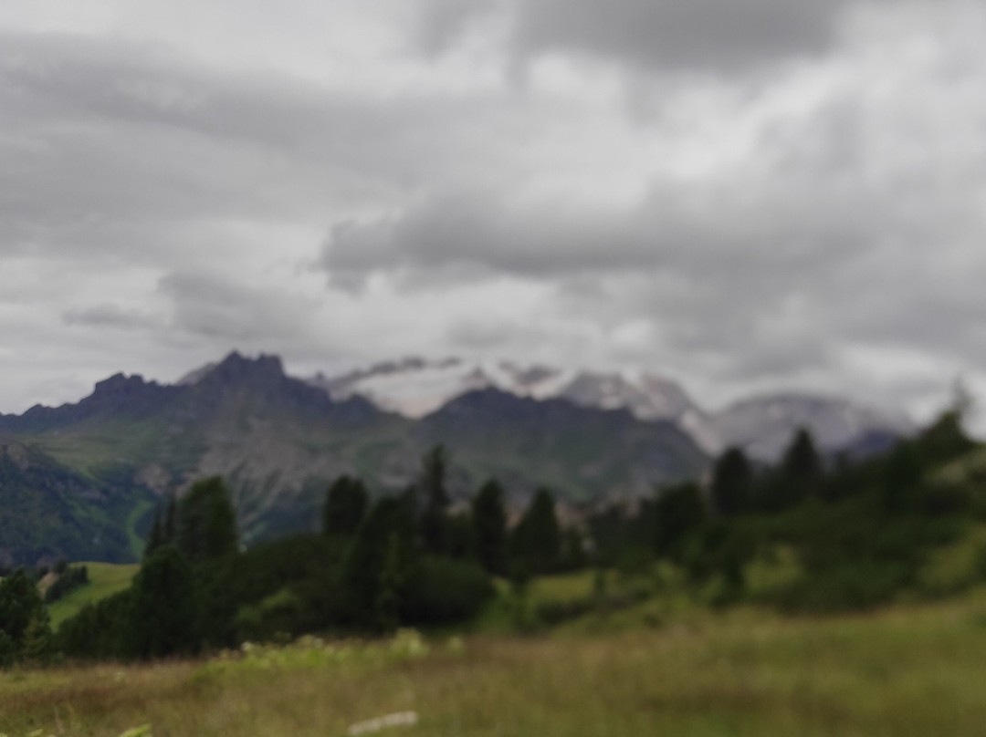 Dolomites Hotel La Fradora主图