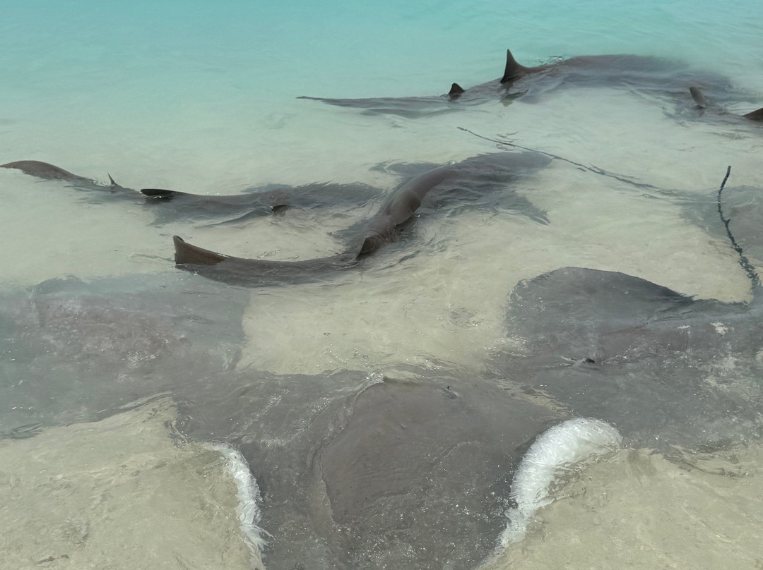 Salt Beach Tours-马富士岛必去景点
