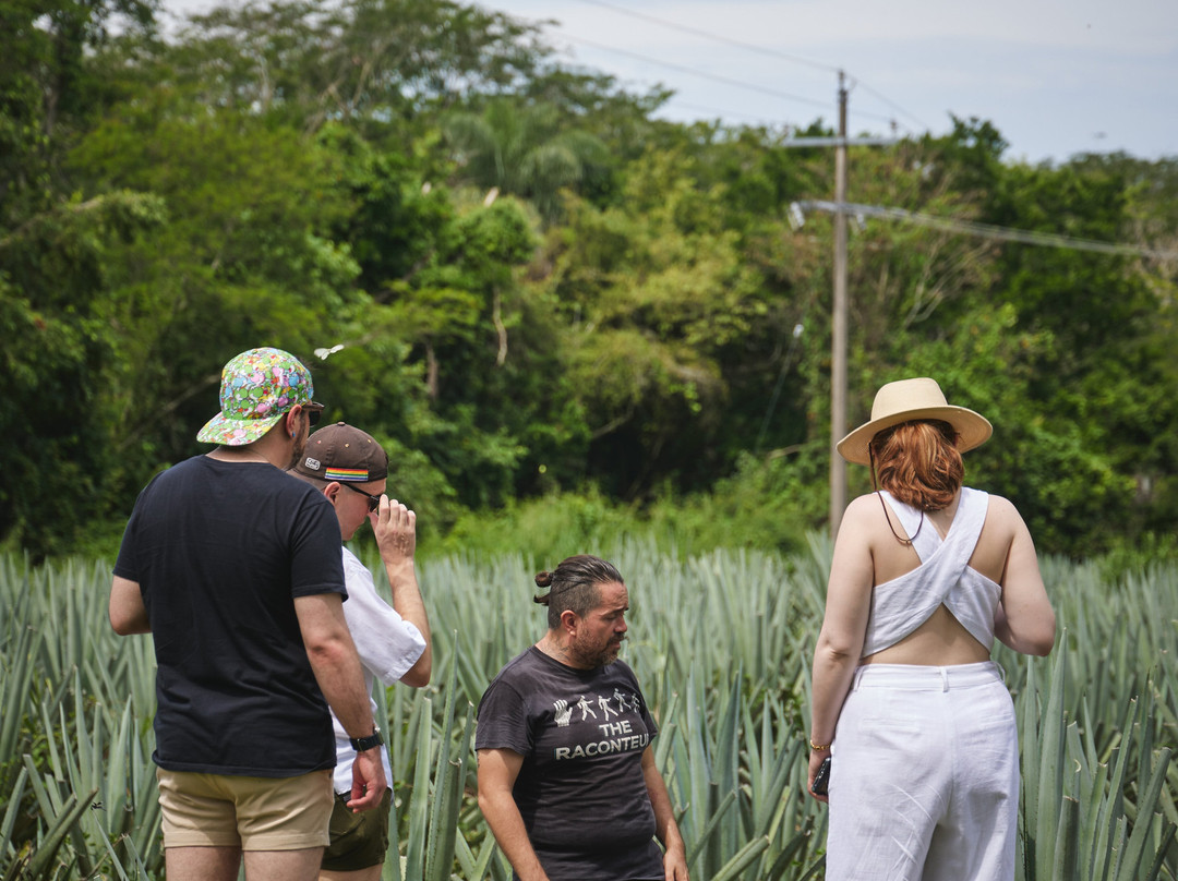Finca 18-瓦拉塔港必去景点