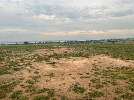 Wild Steps Safaris-恩德培必去景点