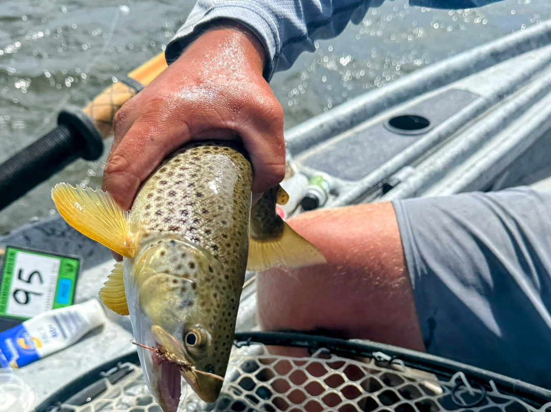 Goulburn Valley Fly Fishing Centre-Alexandra必去景点