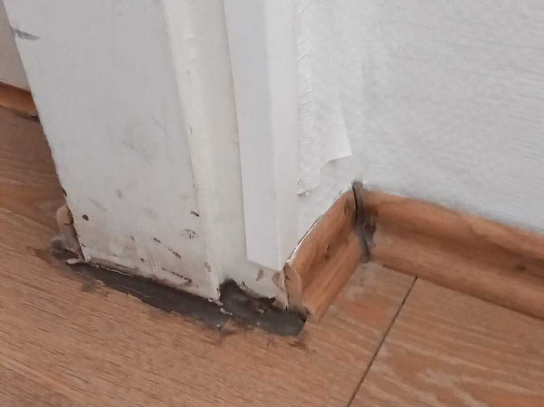 Florida Blue Bay主图