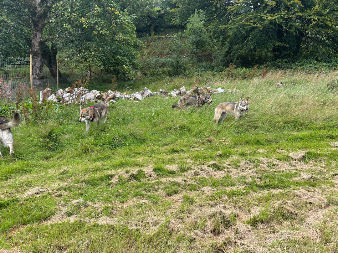 Killean Farmhouse主图