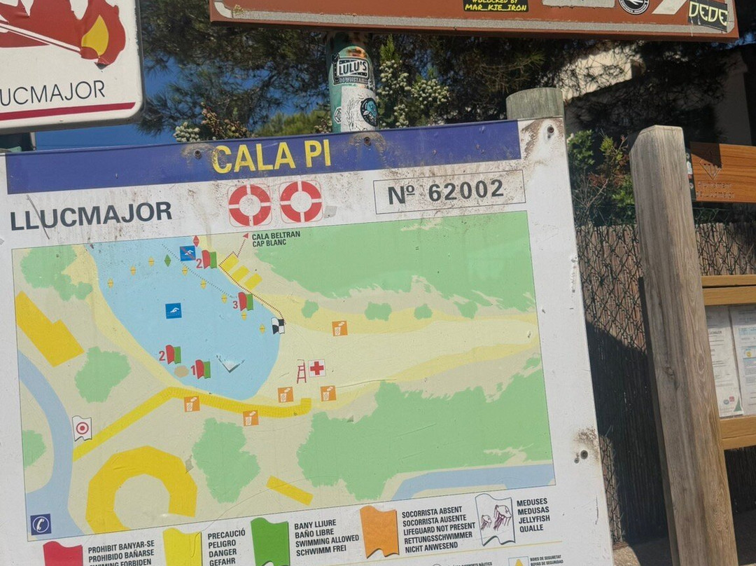 Playa Cala Pi-Cala Pi必去景点