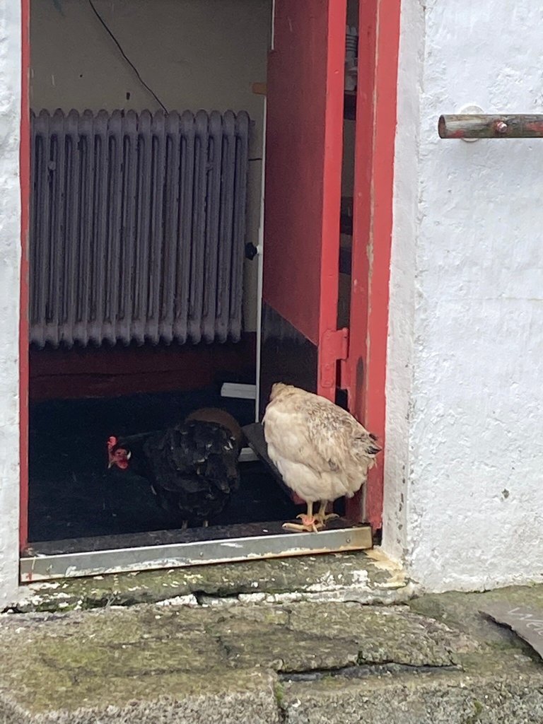 佛洛雅酒店-官方