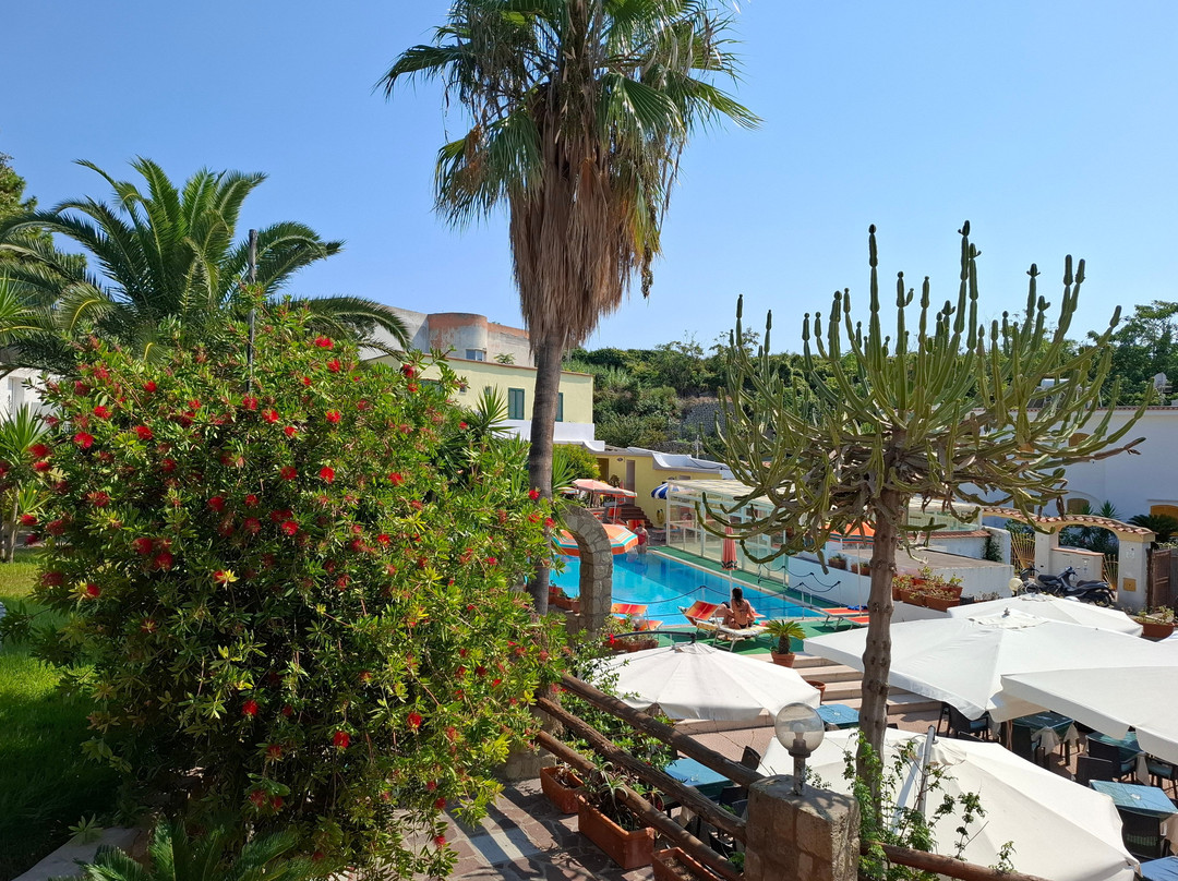 Hotel Villa Hibiscus主图