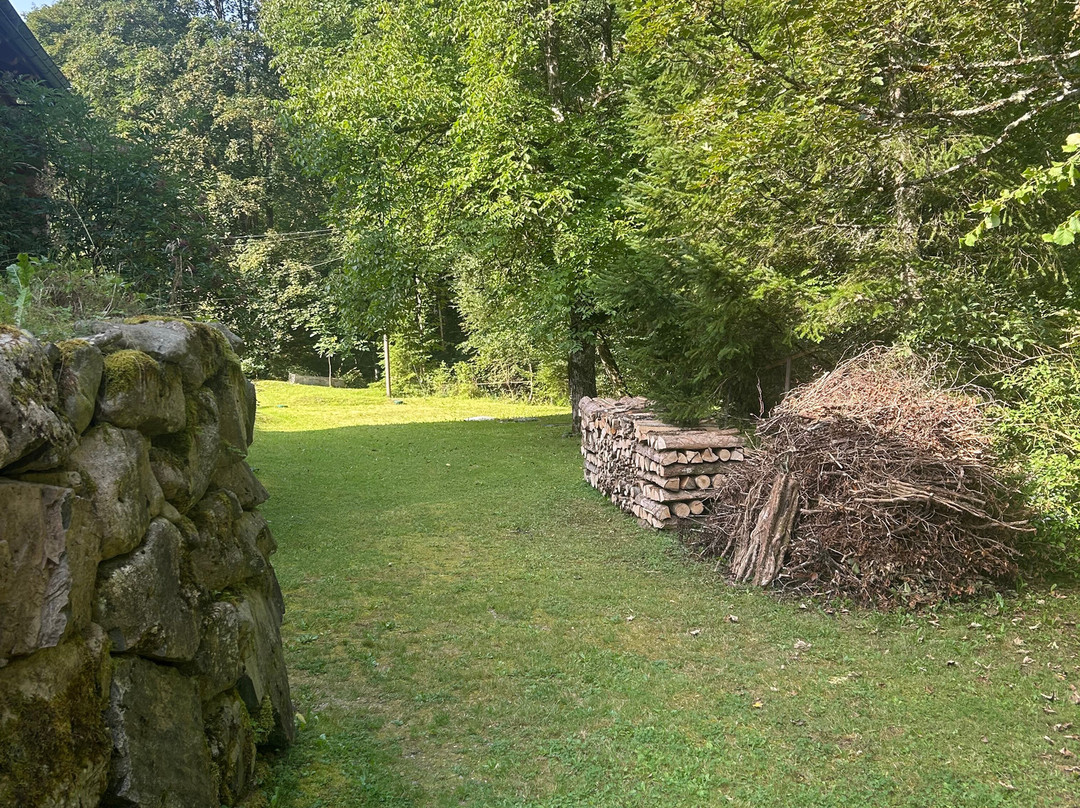 Les Rondins De La Fecht主图