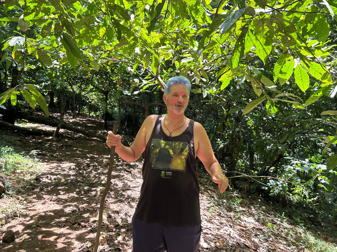 Green Acres Chocolate Farm and Nature Preserve-Cerro Brujo必去景点