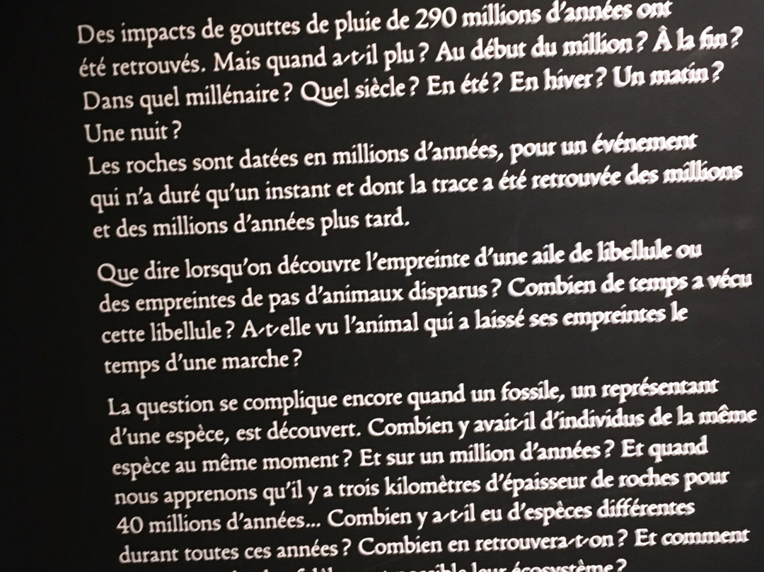 Musee de Lodeve (Musee Fleury)-洛代沃必去景点