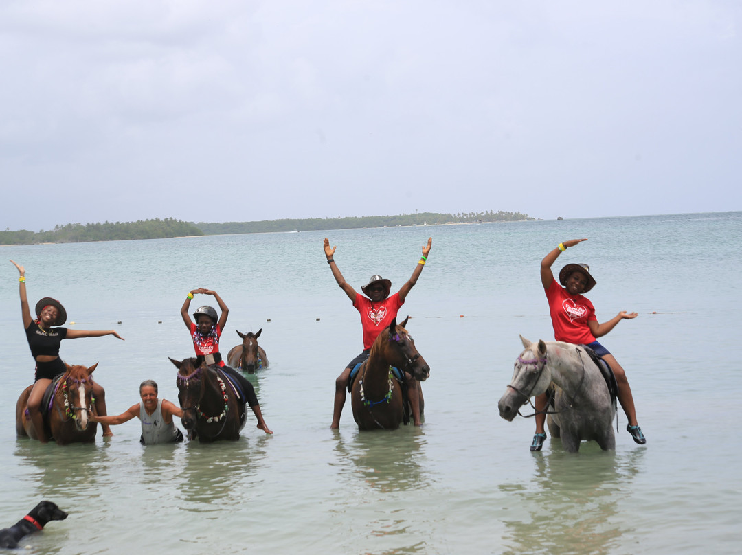 Being with Horses-Buccoo必去景点