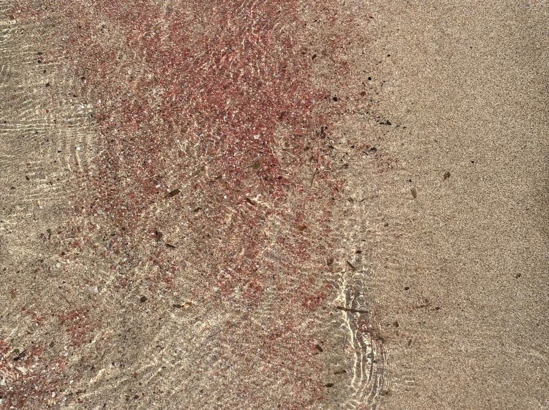 Tiny Beach Pink Sand-Limeniskos必去景点