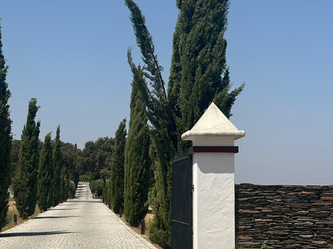Herdade das Servas - Enoturismo-Estremoz必去景点