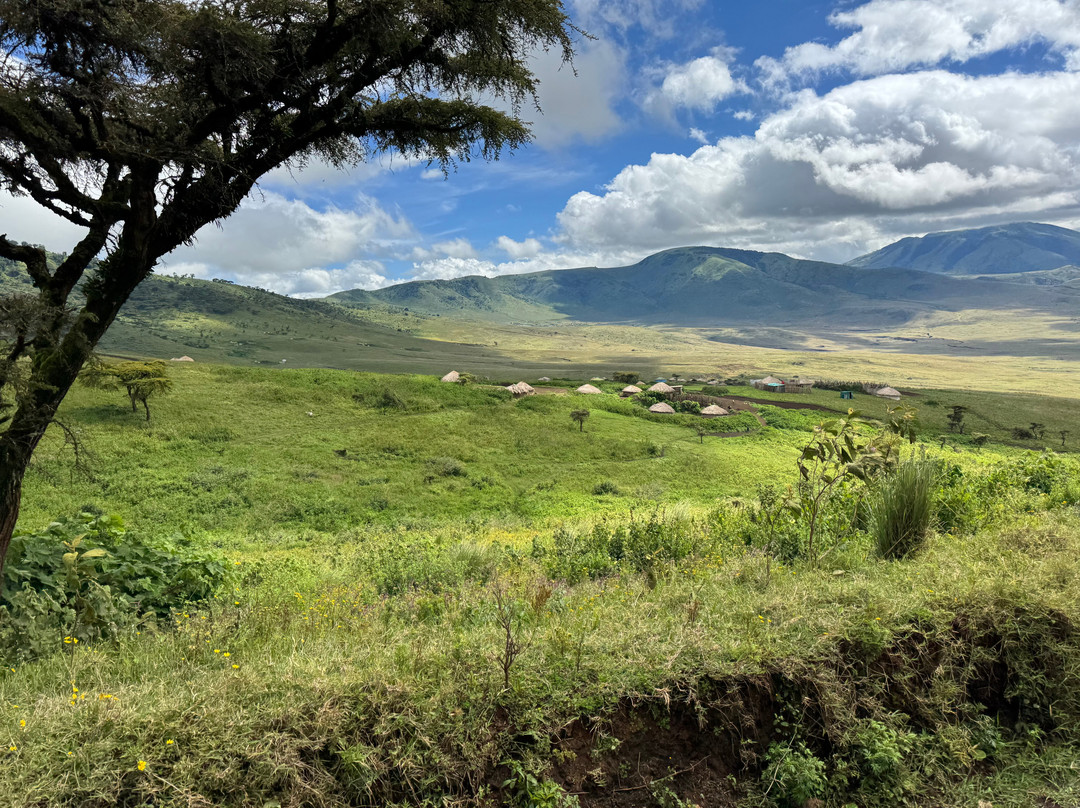 Warrior Trails-阿鲁沙必去景点