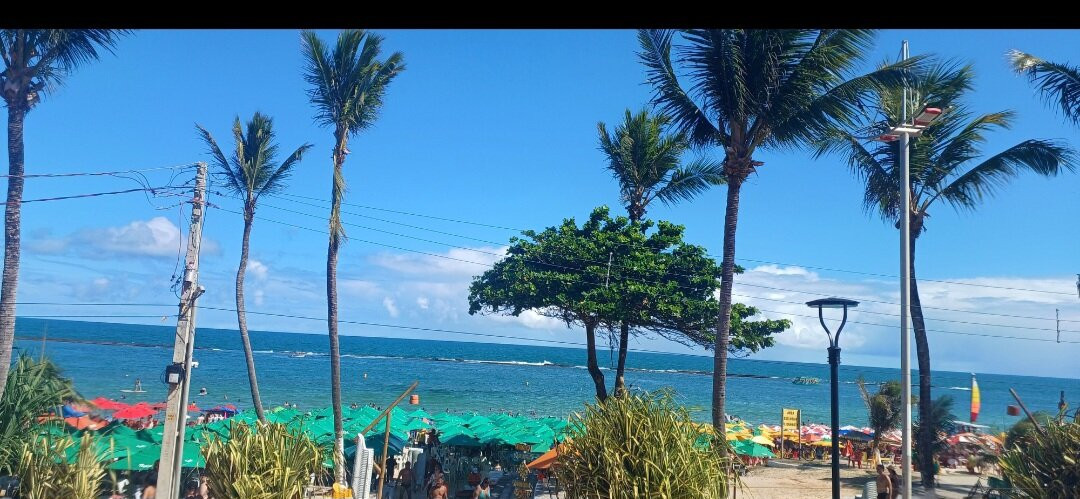 Praia do Francês-Praia do Frances必去景点