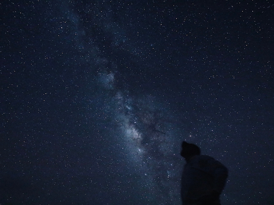 Motti Iriomote Island Trekking Eco Tour-竹富町西表岛必去景点