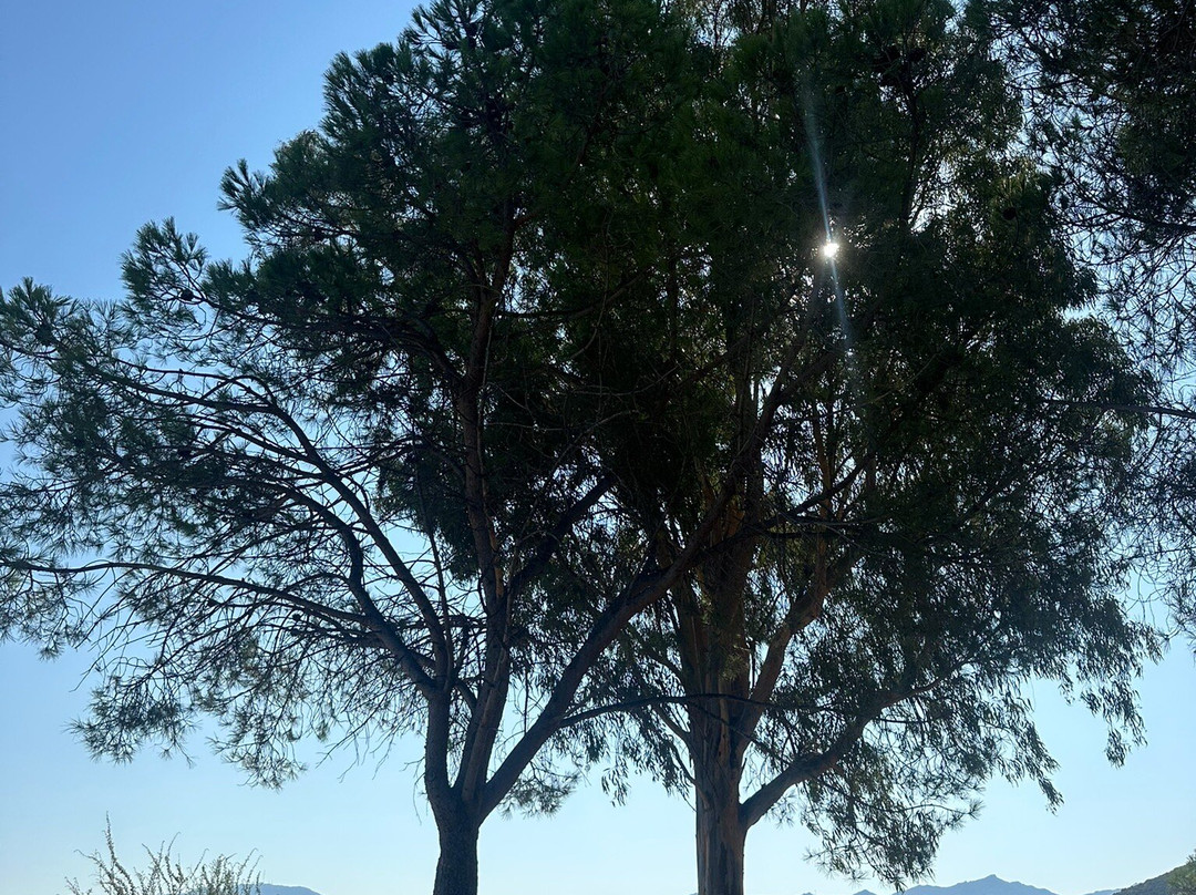 Plage de la Roya-Saint Florent必去景点