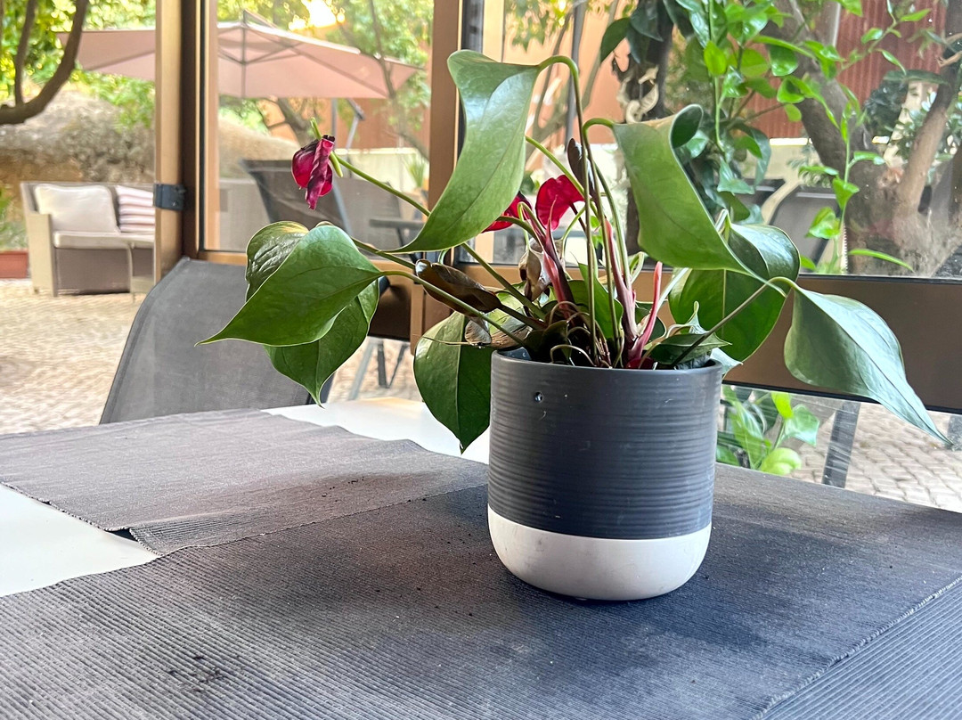 Hotel Boutique a Esplanada主图