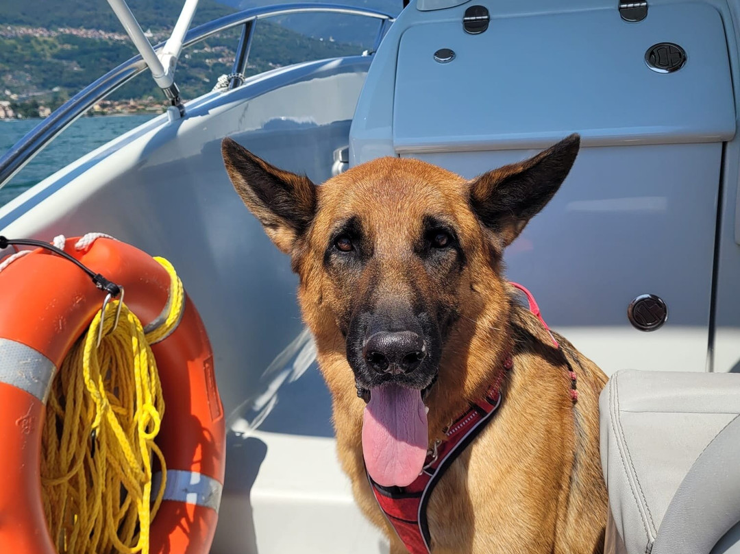 Newton Rent A Boat-Dongo必去景点