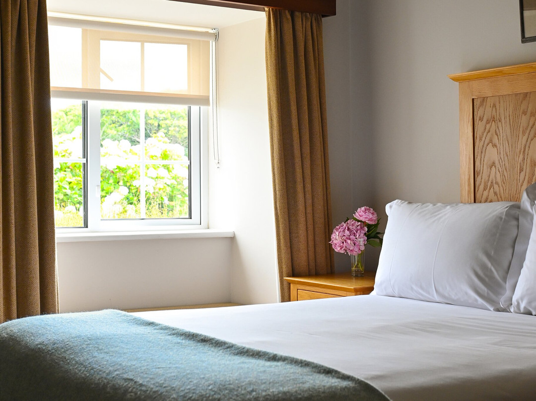 Renvyle House Hotel & Resort主图