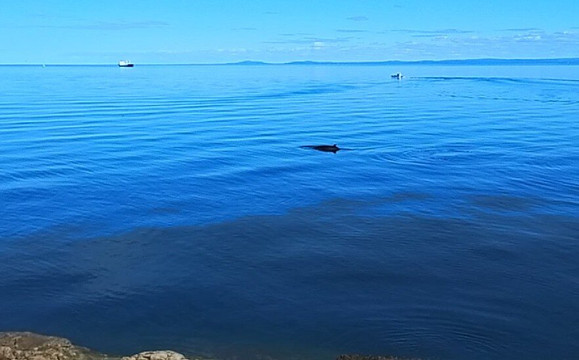 Marine Environment Discovery Centre-Les Escoumins必去景点