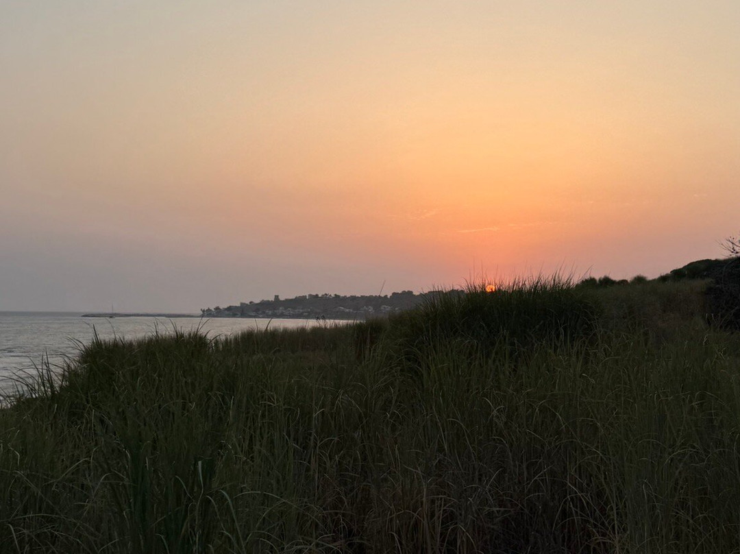 Harundo Mare-Menfi必去景点