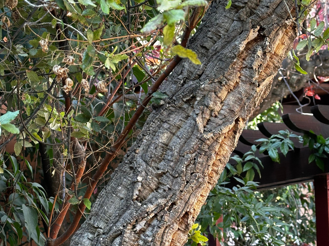 Ktima Palivou-Nemea必去景点