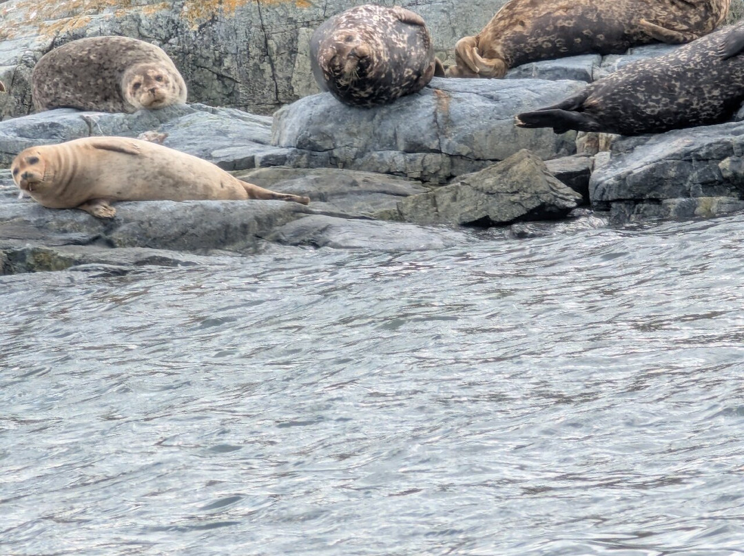 Terracentric Coastal Adventures-Lund必去景点