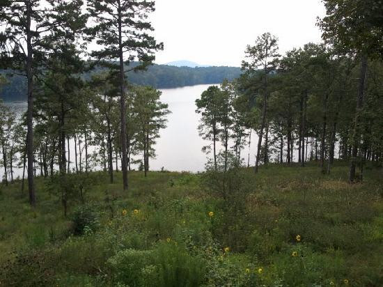 Garvan Woodland Gardens-温泉城必去景点