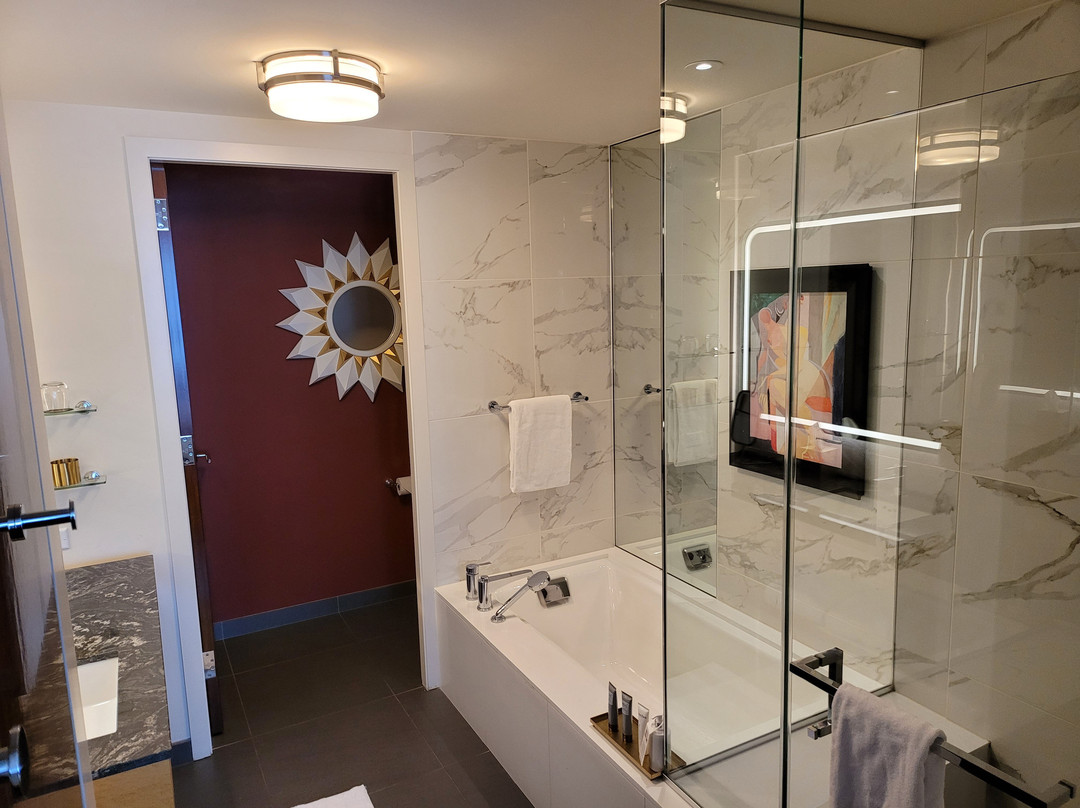 Viceroy Chicago主图