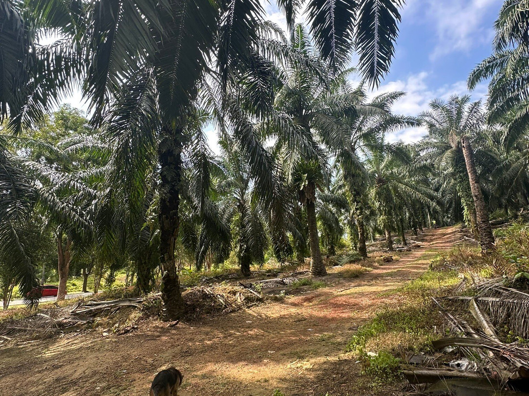 Melaka On Bike - Day Tours-马六甲必去景点