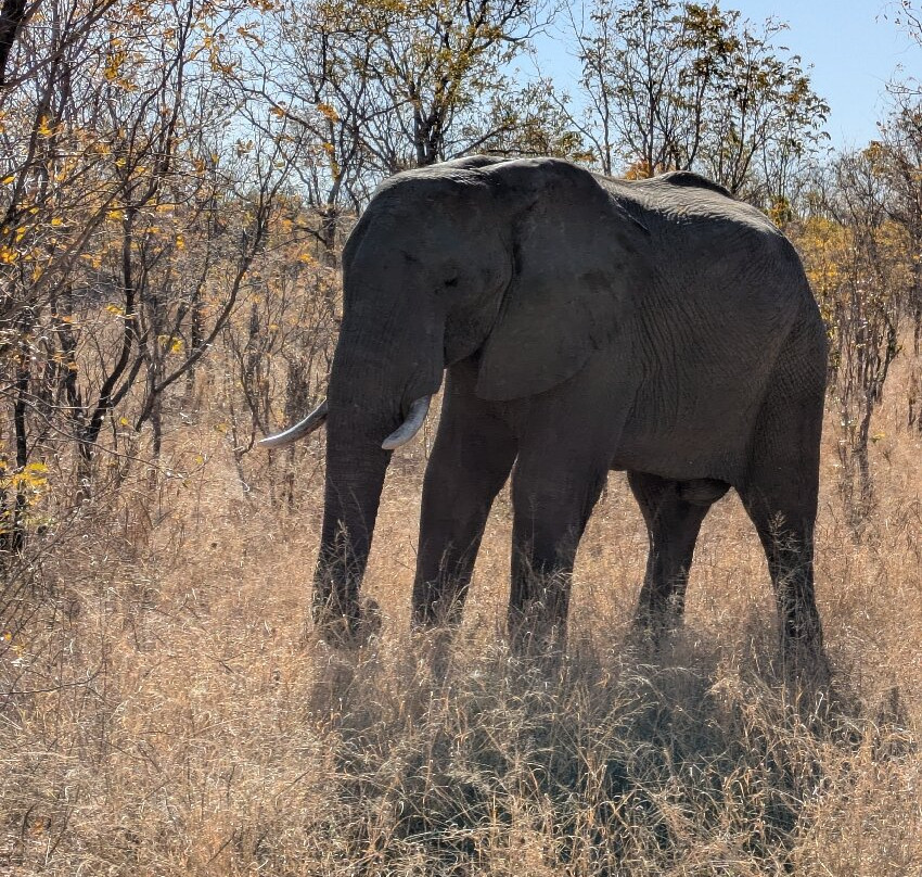 Ride Zimbabwe-布拉瓦约必去景点